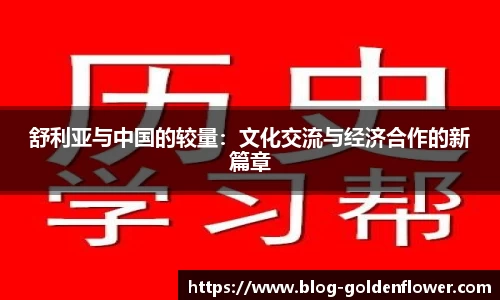 舒利亚与中国的较量：文化交流与经济合作的新篇章
