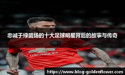 忠诚于绿茵场的十大足球明星背后的故事与传奇